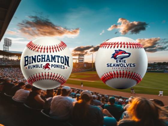 Erie Seawolves vs. Binghamton Rumble Ponies